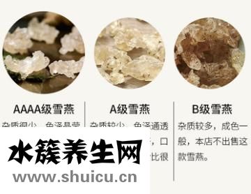 雪燕和燕窩的區別