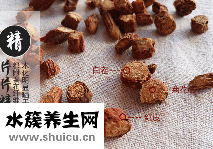 好丹參的特征