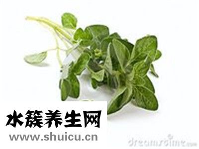 牛至精油