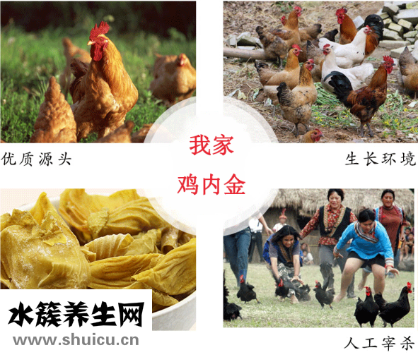 雞內金的吃法
