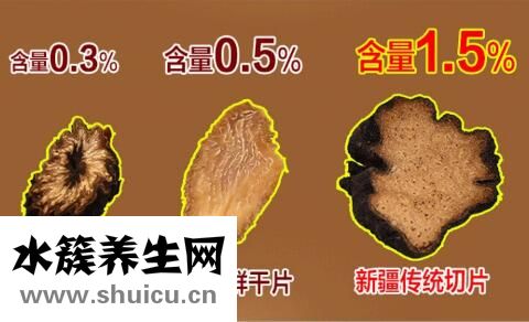 酒蓯蓉