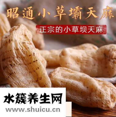 小草壩天麻