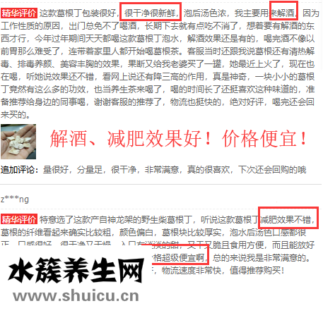葛根丁的評價