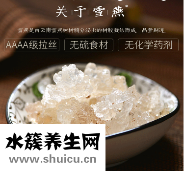 關于雪燕