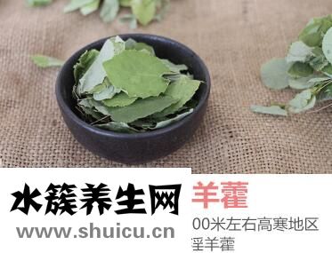 淫羊藿價格