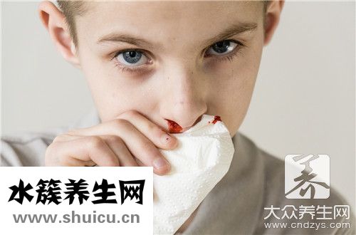 鼻炎喝什么茶
