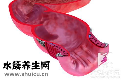 肛門膿腫辦
