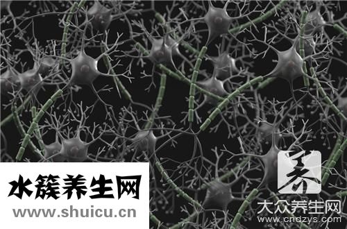 白質脫髓鞘