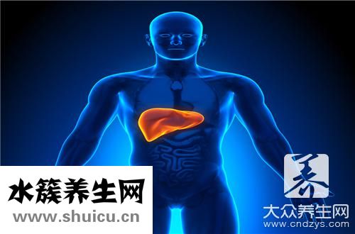 肝內高回聲結節