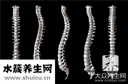椎管囊腫