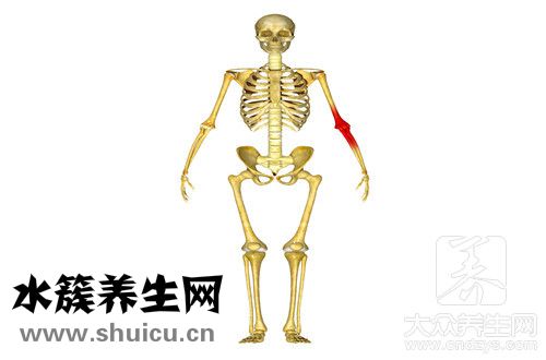 骨科常見疾病