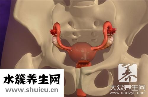 碎石治療