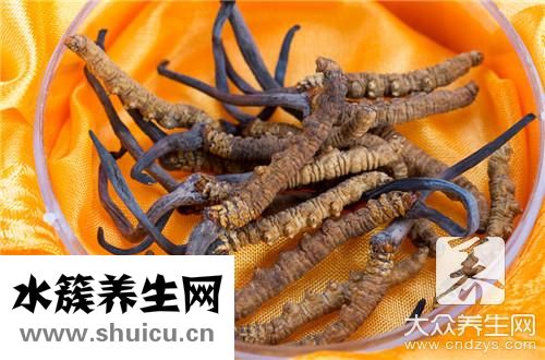 蜘蛛皮膚