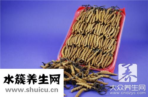 蜘蛛皮膚
