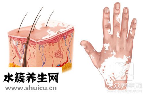 百殿風多長時間擴散