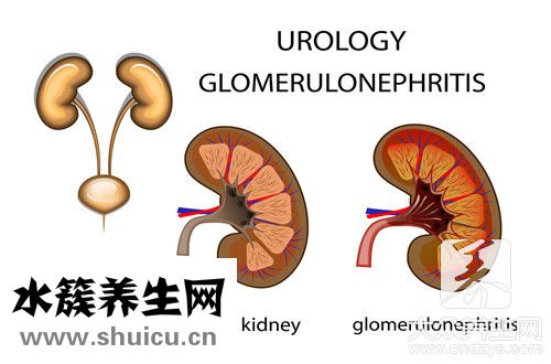 腎陰虛喝什么茶