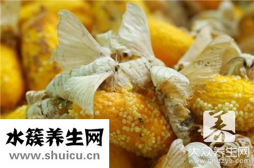吃蠶蛹過敏