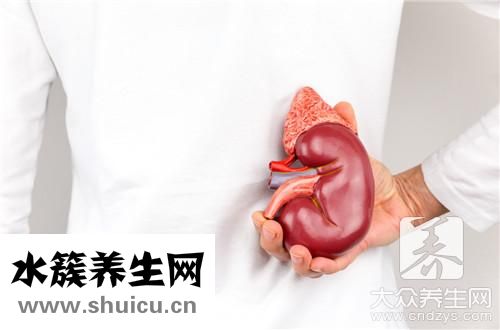 金錢草治結石