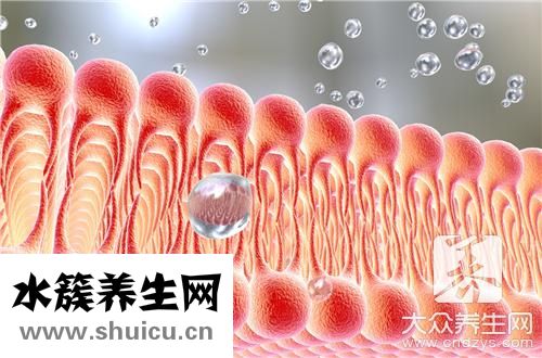 脂肪酸作用