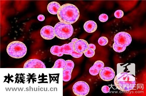 血紅蛋白含量