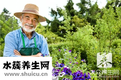 金銀花作用