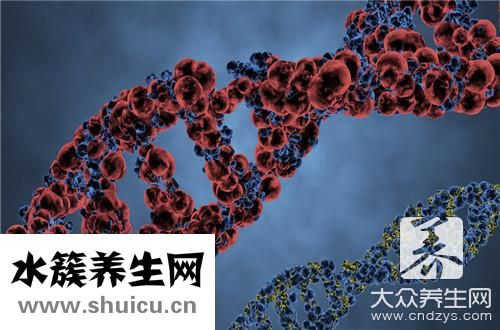 支原體檢測