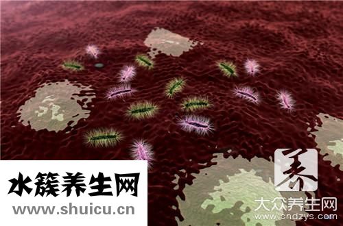 支原體檢測