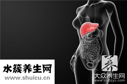 肝囊腫吃什么食物好