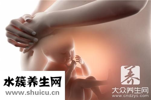 胎盤補腎