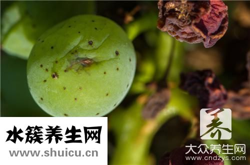 生蠔生吃