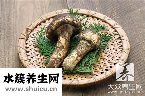 松茸燉雞湯