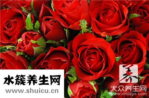 玫瑰花