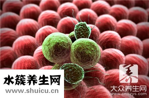 神經母細胞