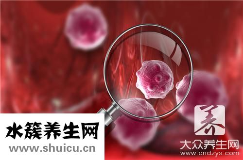 神經母細胞