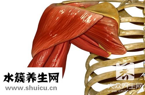 肩膀疼痛辦