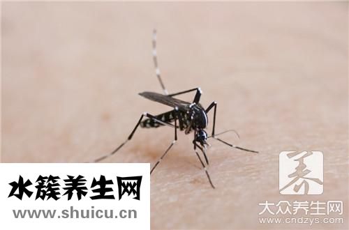 脖子過敏