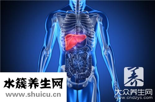 肝臟檢查