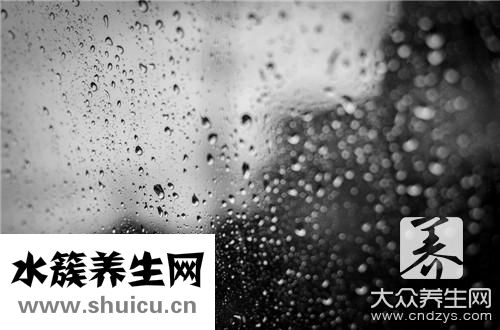 黑膠傘