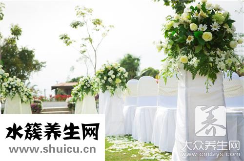 白掌有毒嗎