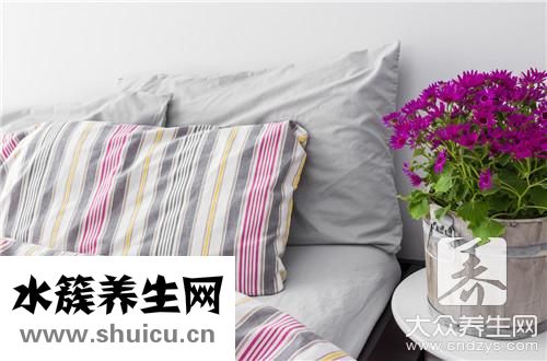 鼠婦對人有害嗎