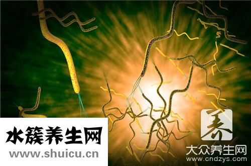 消化細菌