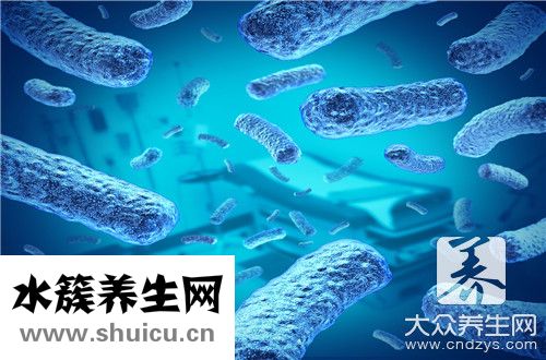 消化細菌