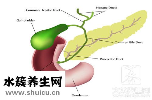 膽汁反流治療