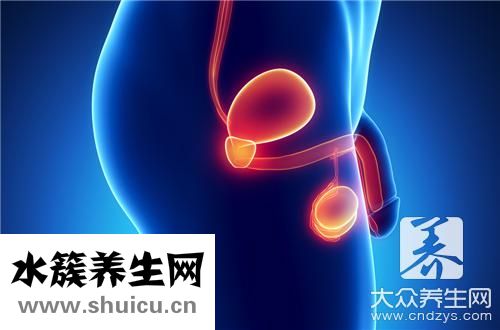膀胱結石手術多少錢