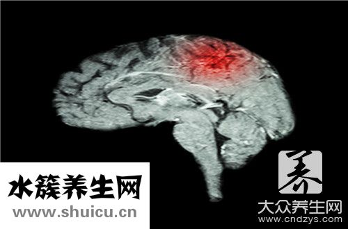 什么頭什么腦