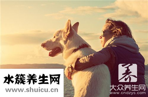 寵物寄生蟲
