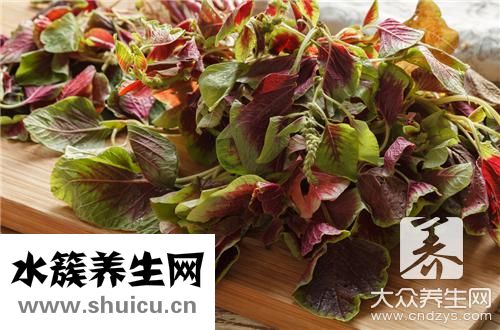 紅色菜