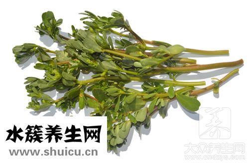 紅色菜