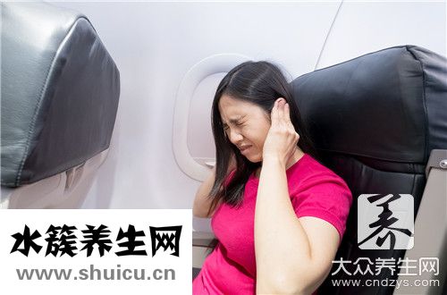 兔子特點