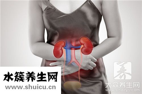 尿路感染會傳染嗎
